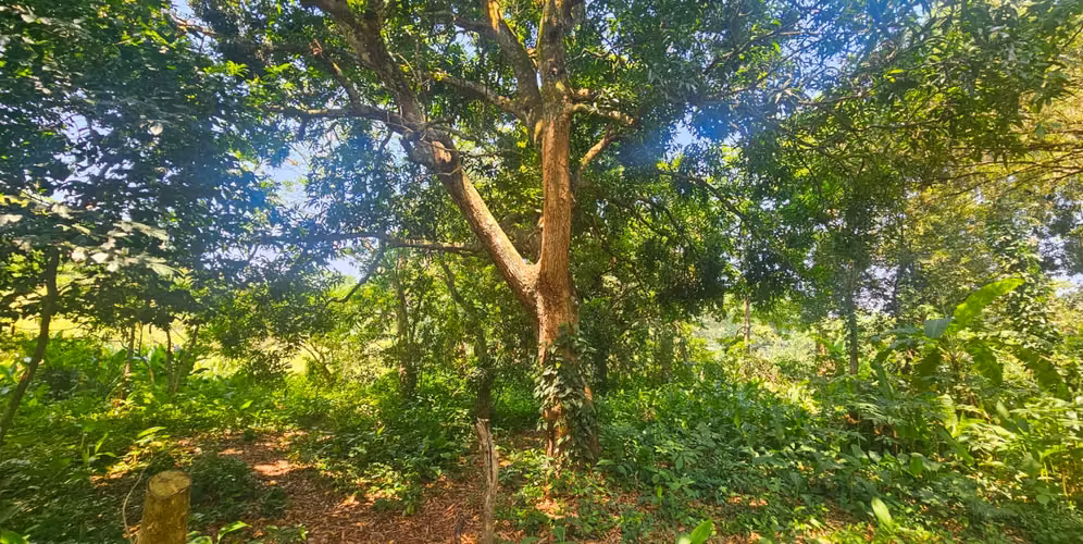 Terreno en venta  Tonacatepeque