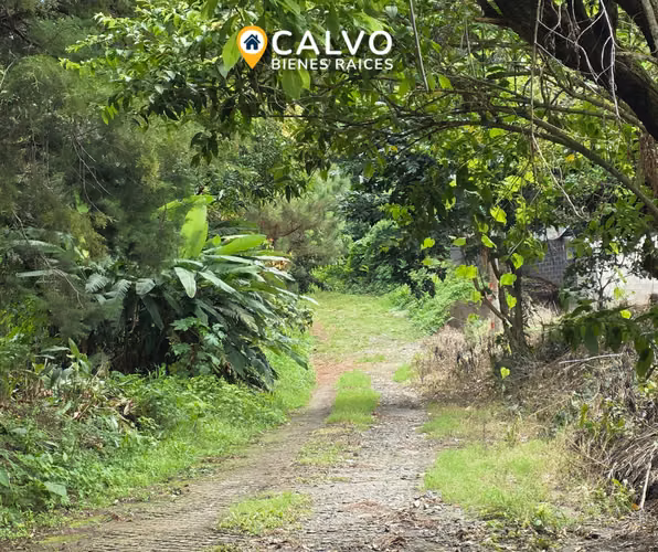 EN VENTA TERRENO RESIDENCIAL EN QUINTAS DE LA MONTAÑA - Imagen 5
