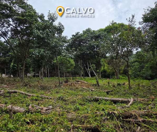 EN VENTA TERRENO RESIDENCIAL EN QUINTAS DE LA MONTAÑA - Imagen 3