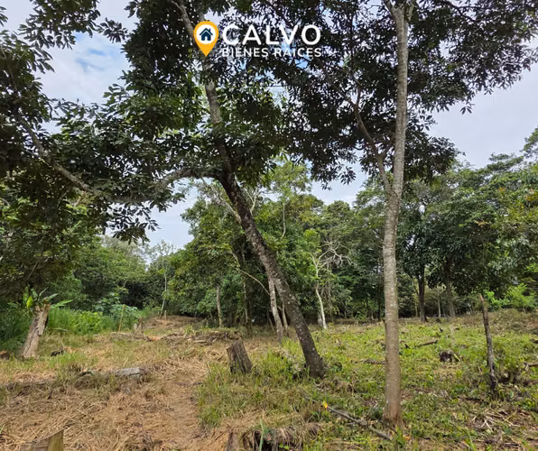 EN VENTA TERRENO RESIDENCIAL EN QUINTAS DE LA MONTAÑA - Imagen 2