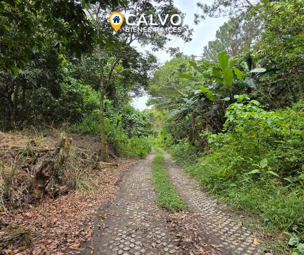 EN VENTA TERRENO RESIDENCIAL EN QUINTAS DE LA MONTAÑA - Imagen 4