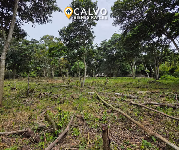 EN VENTA TERRENO RESIDENCIAL EN QUINTAS DE LA MONTAÑA - Imagen 6
