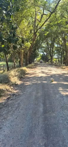 #SanMiguel Vendo Terrenos planos a 10 Minutos SM - Imagen 3