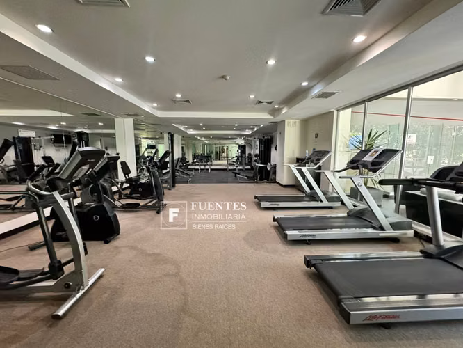 APARTAMENTO AMUEBLADO ALQUILER TERRA ALTA COLONIA ESCALÓN SAN SALVADOR