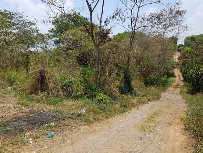 VENTA 10 MANZANAS- CARRETERA PANAMERICANA EN EL CONGO - Imagen 8