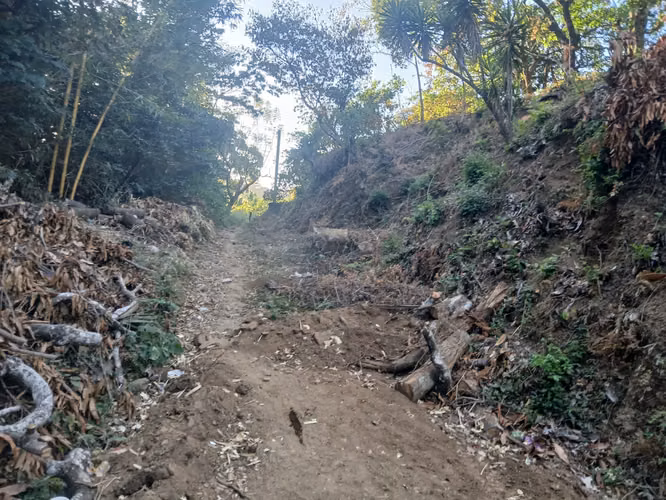 GRAN OPORTUNIDAD se vende parcela de 5 lotes, 10x20c/u, a $50mil - Imagen 5