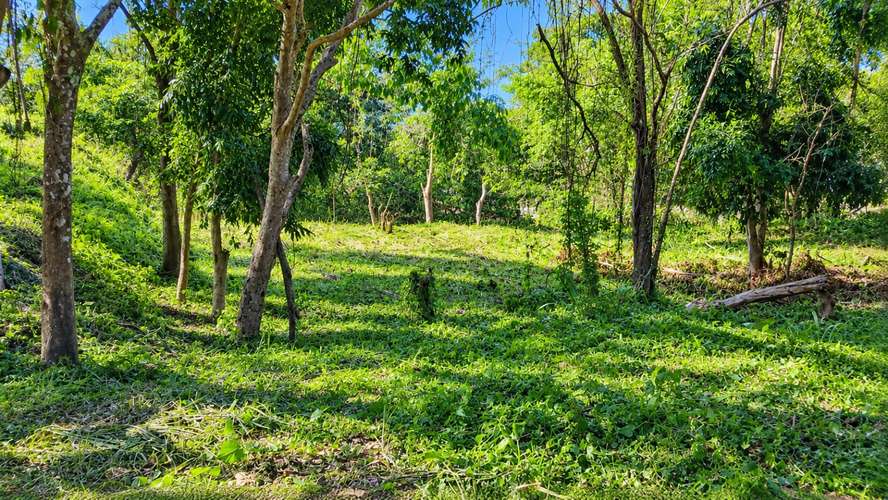 TERRENO PREMIUM EN VENTA EN RESIDENCIAL ALTAMIRA