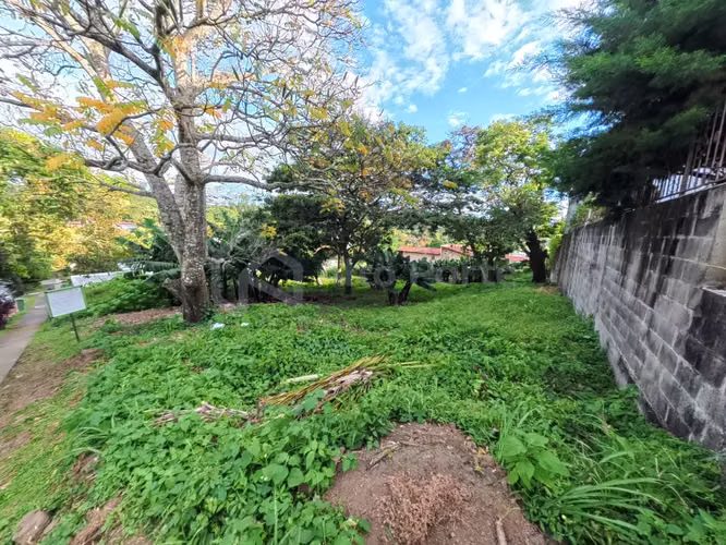 Terreno en venta en Tenerife - 1,050 v² - Imagen 6