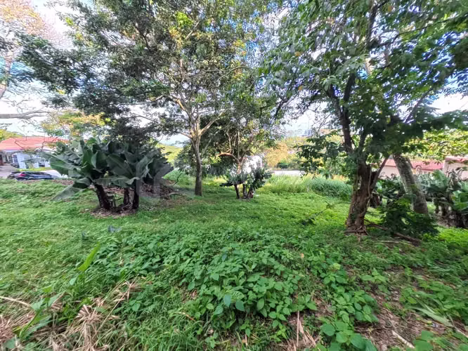 Terreno en venta en Tenerife - 1,050 v² - Imagen 5