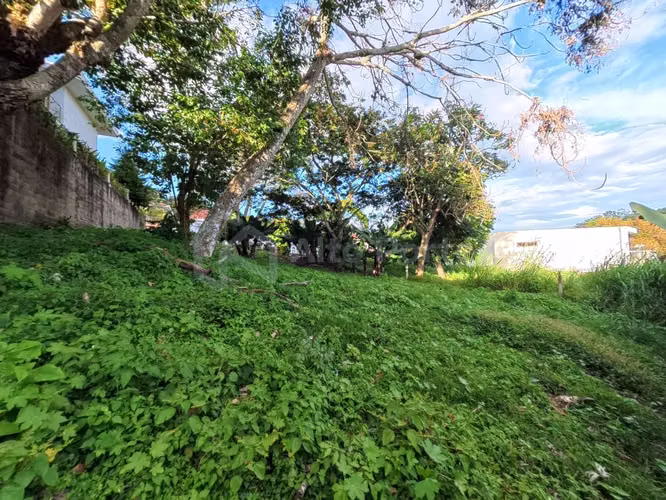 Terreno en venta en Tenerife - 1,050 v² - Imagen 10