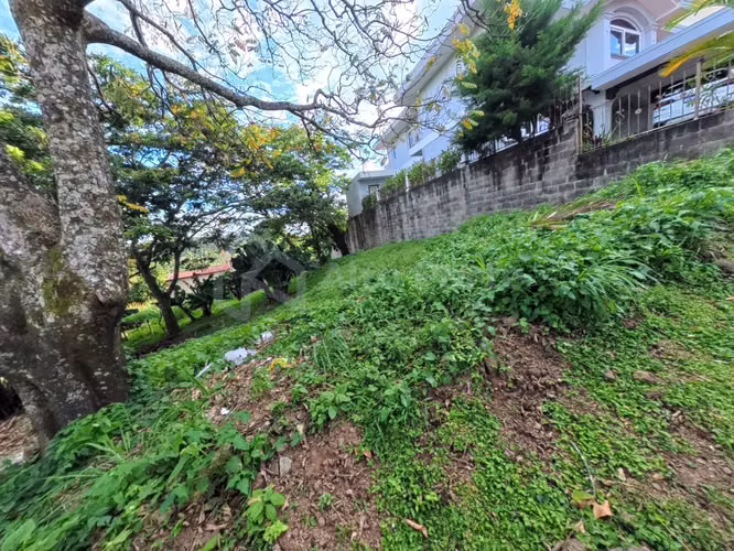 Terreno en venta en Tenerife - 1,050 v² - Imagen 8