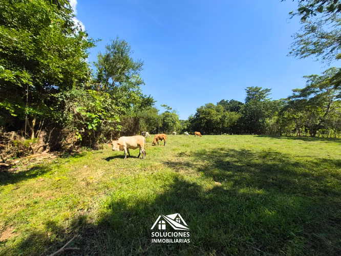 SALE OF FLAT LAND LOCATED ON WHITE LAND