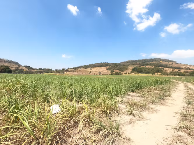 INVERSIÓN ESTRATÉGICA EN NEJAPA | TERRENO PLANO DESVIÓ CALLE A RELLENO SANITARIO - Imagen 9
