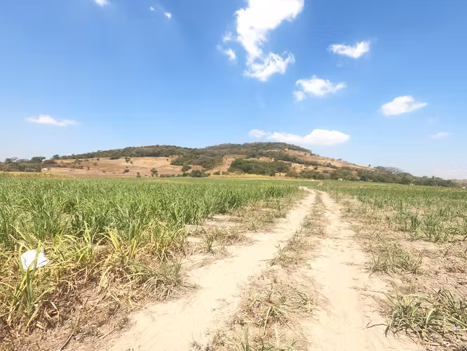 INVERSIÓN ESTRATÉGICA EN NEJAPA | TERRENO PLANO DESVIÓ CALLE A RELLENO SANITARIO - Imagen 8