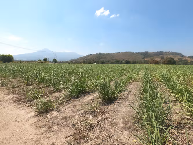 INVERSIÓN ESTRATÉGICA EN NEJAPA | TERRENO PLANO DESVIÓ CALLE A RELLENO SANITARIO - Imagen 6