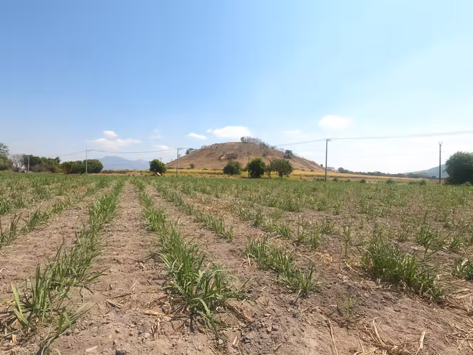 INVERSIÓN ESTRATÉGICA EN NEJAPA | TERRENO PLANO DESVIÓ CALLE A RELLENO SANITARIO - Imagen 12