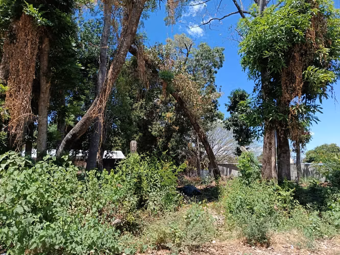 2 LOTES EN VENTA - Imagen 3