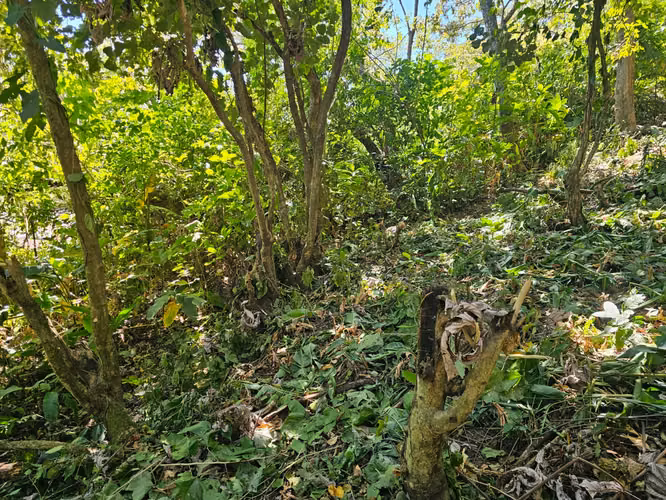VENTA TERRENO CON VISTA EN RESIDENCIAL VILLA BOSQUE Carretera Pto La Libertad