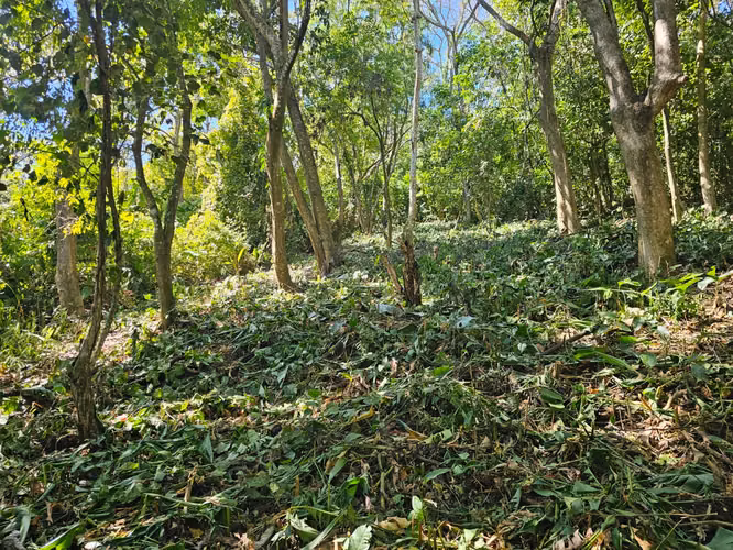 VENTA TERRENO CON VISTA EN RESIDENCIAL VILLA BOSQUE Carretera Pto La Libertad
