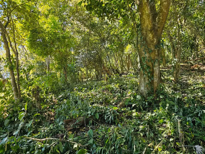 VENTA TERRENO CON VISTA EN RESIDENCIAL VILLA BOSQUE Carretera Pto La Libertad