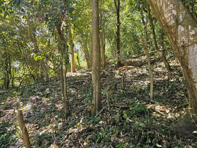 VENTA TERRENO CON VISTA EN RESIDENCIAL VILLA BOSQUE Carretera Pto La Libertad