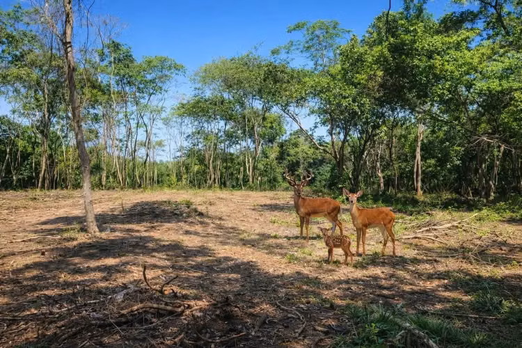 EN VENTA 4 TERRENOS EN RES. HACIENDA SAN JOSÉ VILLANUEVA, EL SALVADOR