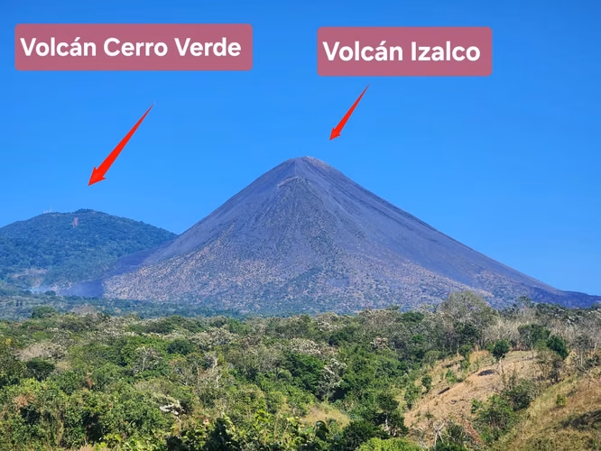 EN VENTA 24.5 MZ DE FINCA CAFETERA EN RUTA DE LAS FLORES - Imagen 4