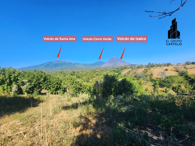 EN VENTA 24.5 MZ DE FINCA CAFETERA EN RUTA DE LAS FLORES - Imagen 5