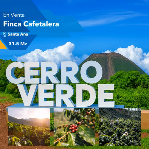 En Venta Finca Cafetalera De Estricta Altura En La Ruta De Las Flores