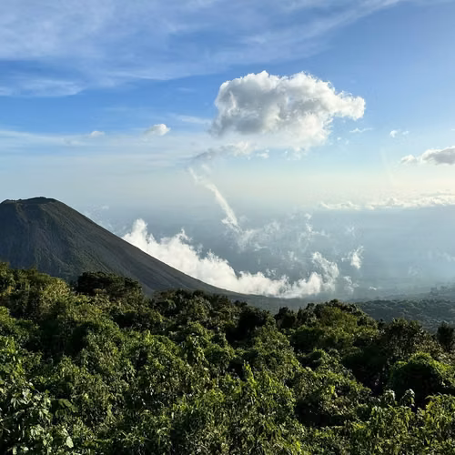 En Venta Finca Cafetalera De Estricta Altura En La Ruta De Las Flores