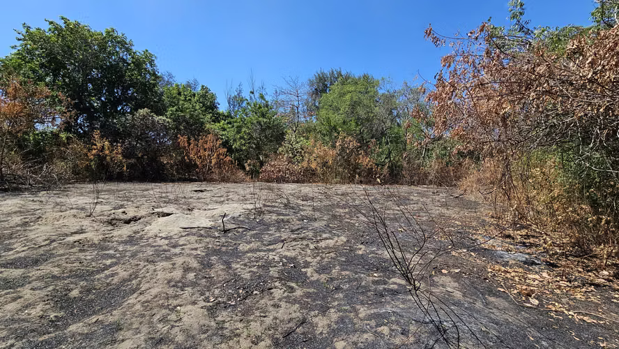 Venta de terreno de playa en La Costa del Sol El Salvador - Imagen 10