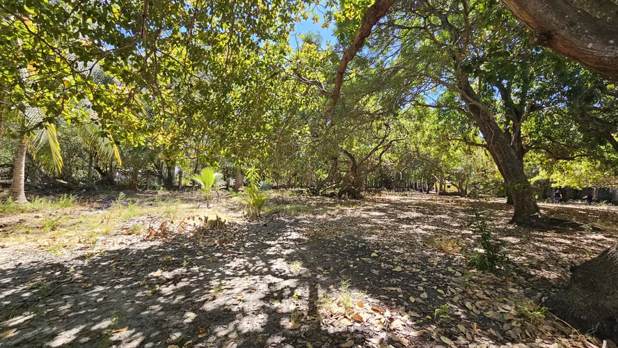 Venta de terreno de playa en La Costa del Sol El Salvador - Imagen 8