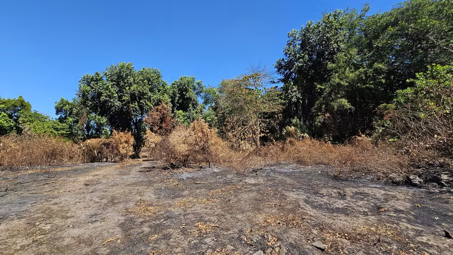 Venta de terreno de playa en La Costa del Sol El Salvador - Imagen 12