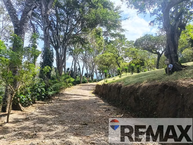 SALCOATITAN, SONSONATE. TERRENO EN VENTA. C VISTAS