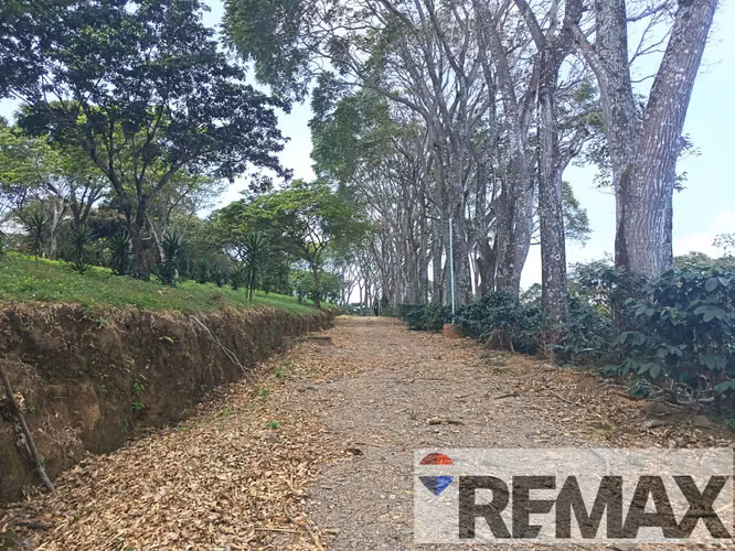 SALCOATITAN, SONSONATE. TERRENO EN VENTA. C VISTAS