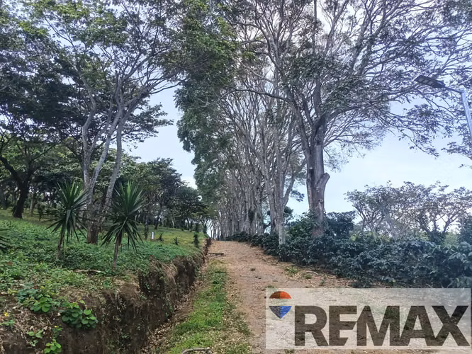 SALCOATITAN, SONSONATE. TERRENO EN VENTA. C VISTAS