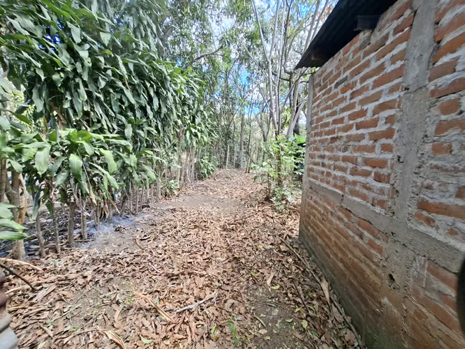 VENTA 2 LOTES JUNTOS EN EL ZACATAL EL CONGO