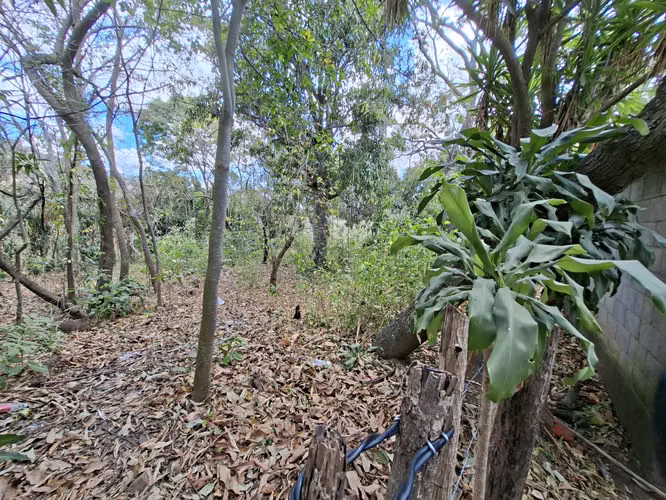 VENTA 2 LOTES JUNTOS EN EL ZACATAL EL CONGO
