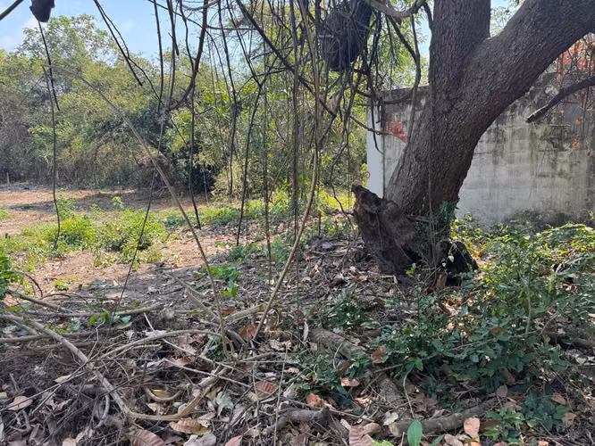 Terreno cercano a la playa sobre Carretera Costa del Sol