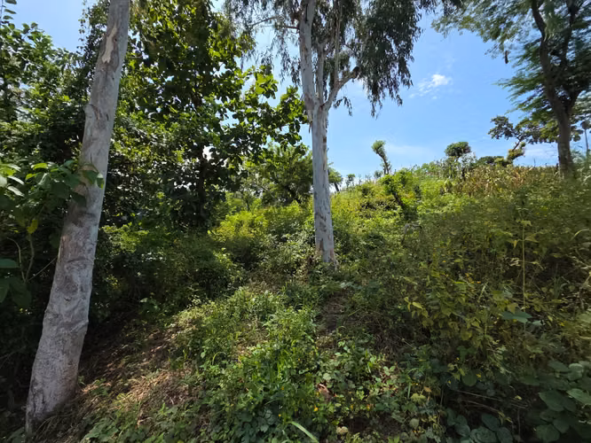 Terreno en venta sobre la orilla de la Carretera al Puerto de La Libertad - Imagen 10