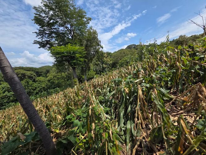 Terreno en venta sobre la orilla de la Carretera al Puerto de La Libertad - Imagen 11