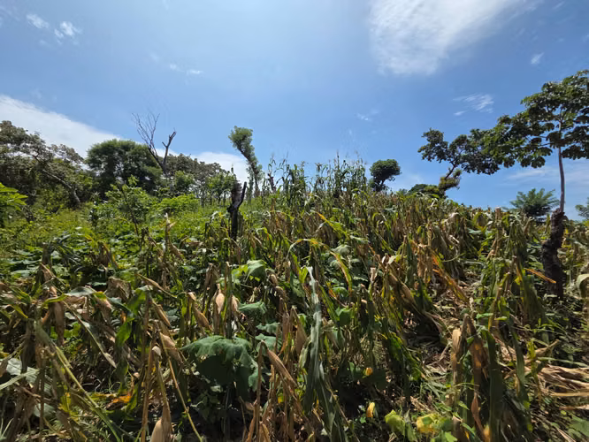 Terreno en venta sobre la orilla de la Carretera al Puerto de La Libertad - Imagen 12