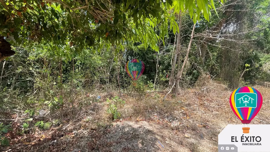 VENDO TERRENO EN LAS VERANERAS LOS COBANOS, SONSONATE - Imagen 2