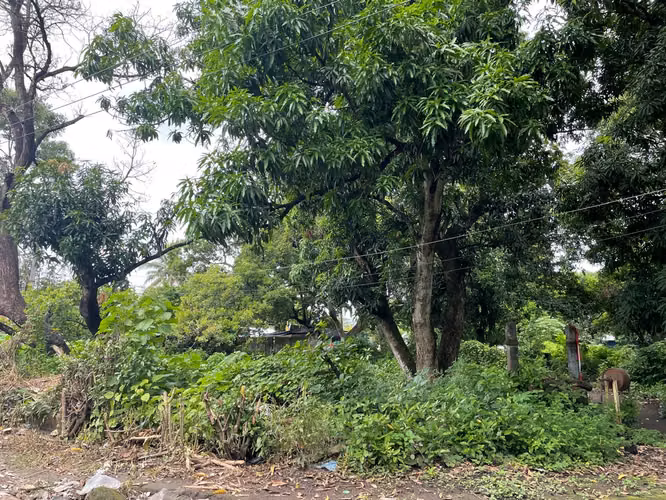 Venta de Terreno en Lourdes Colon, La Libertad - Imagen 2