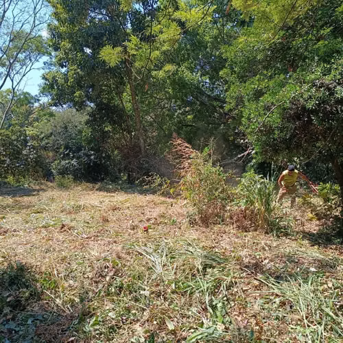 Terreno Planes de Renderos 5000 vrs km 8.5 frente a carretera