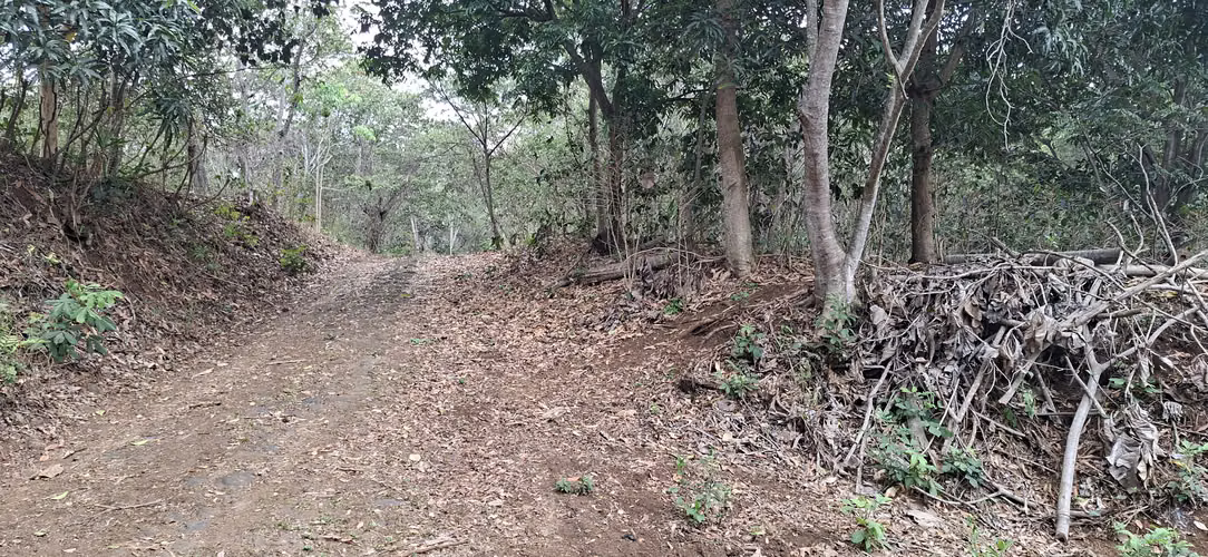 VENTA 16.9 MANZANAS FINCA FLOR AMARILLA SANTA ANA