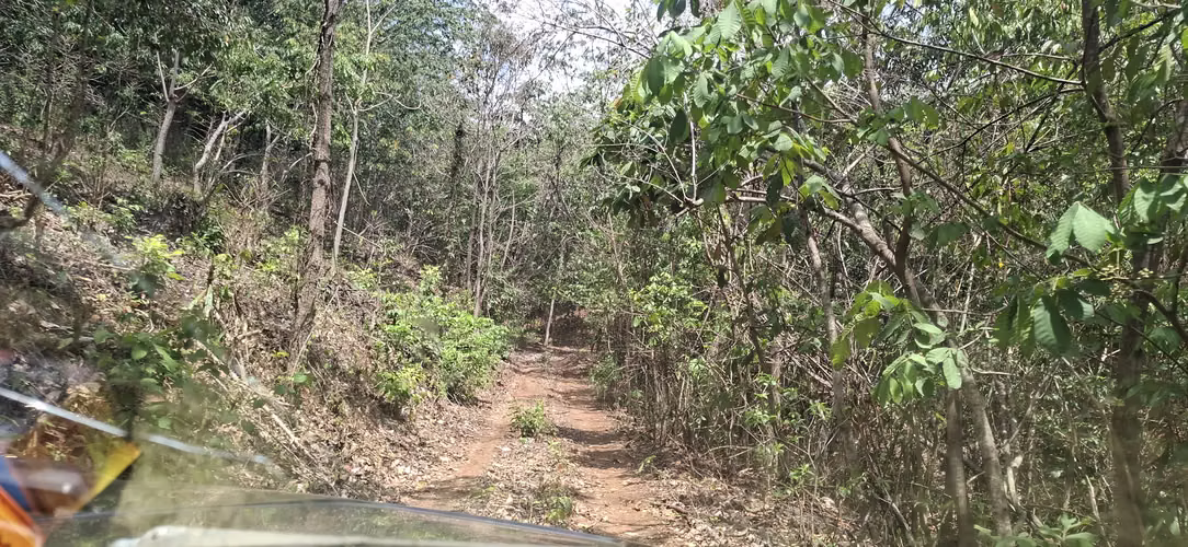 VENTA 16.9 MANZANAS FINCA FLOR AMARILLA SANTA ANA
