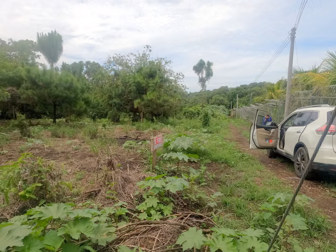 OPORTUNIDAD VENDO TERRENO JUAYÚA. SONSONATE