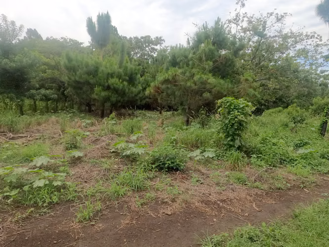 OPORTUNIDAD VENDO TERRENO JUAYÚA. SONSONATE