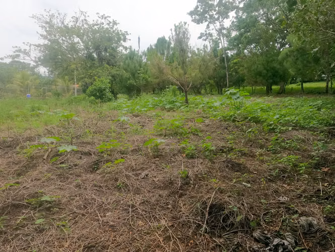 OPORTUNIDAD VENDO TERRENO JUAYÚA. SONSONATE